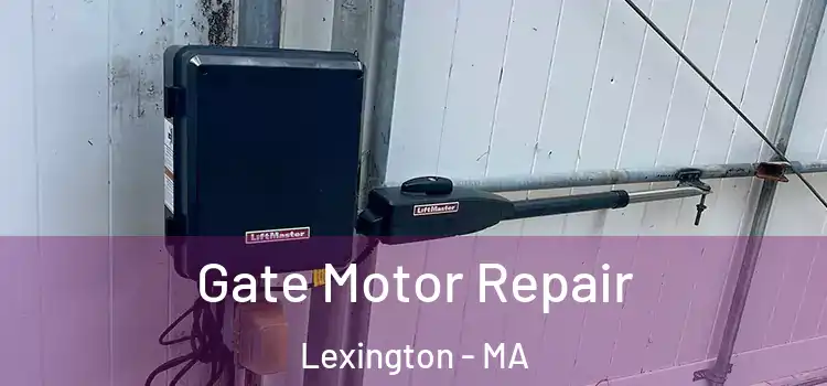 Gate Motor Repair Lexington - MA
