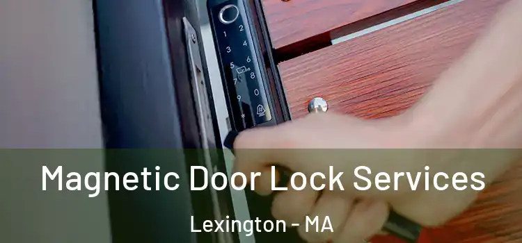Magnetic Door Lock Services Lexington - MA