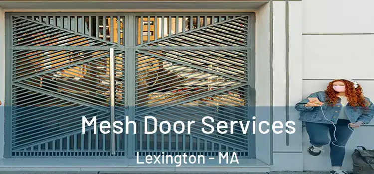 Mesh Door Services Lexington - MA
