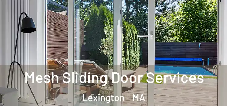 Mesh Sliding Door Services Lexington - MA